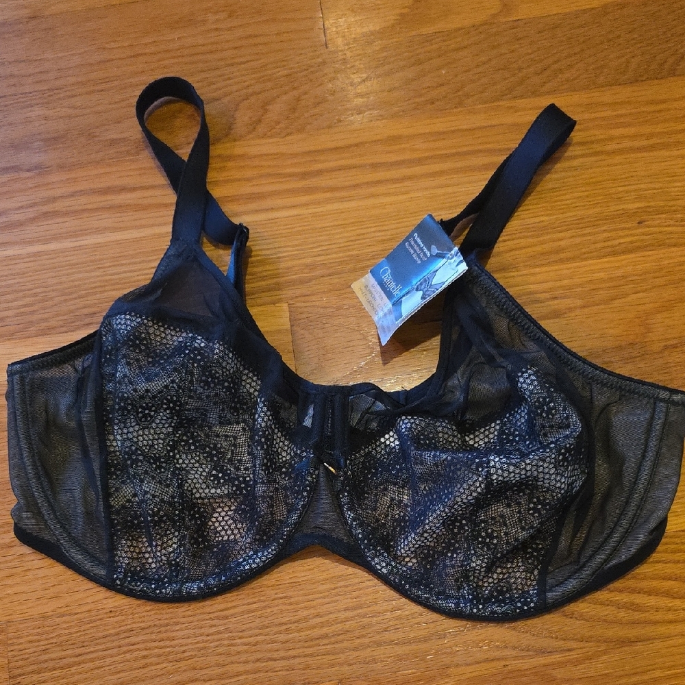 Chantelle Black Mesh Lace Bra Size 38DDDD